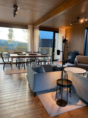 Modern and luxuriously furnished villa in Idre